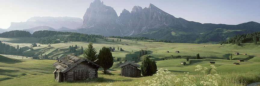Natural landscape in South Tyrol in the summer