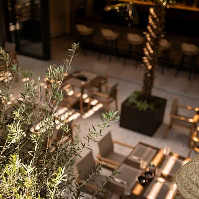 Unsere Palmenterrasse verbindet Indoor mit Outdoor ️ und schafft einen fließenden Übergang von Hotelbar, Terrasse und Garten – meditteranes Design ohne Grenzen.